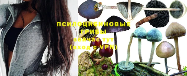 экстази Армянск