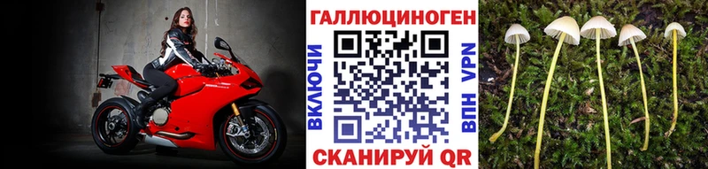блэк спрут онион где найти наркотики Курган Галлюциногенные грибы MAGIC MUSHROOMS